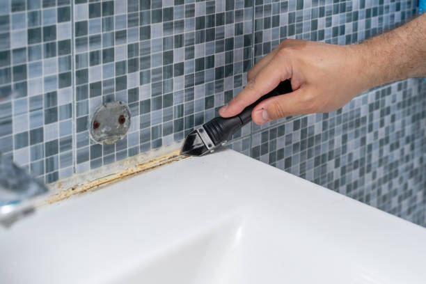 Best Attic Mold Removal  in Shadeland, IN