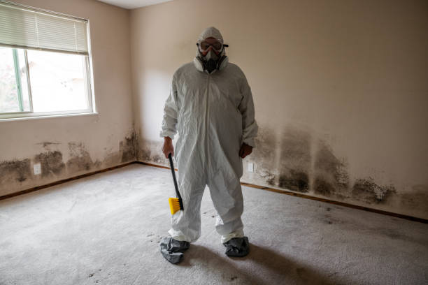 Mold Removal and Inspection in Shadeland, IN